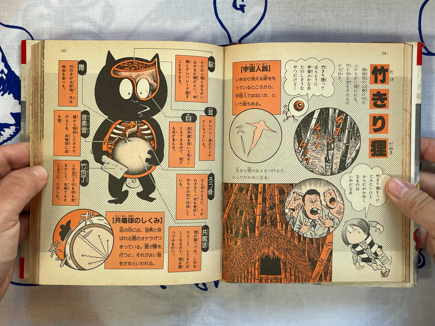 Yokai Pictorial - Hardcover by Mizuki Shigeru (1983) NEEDS DESCRIPTION