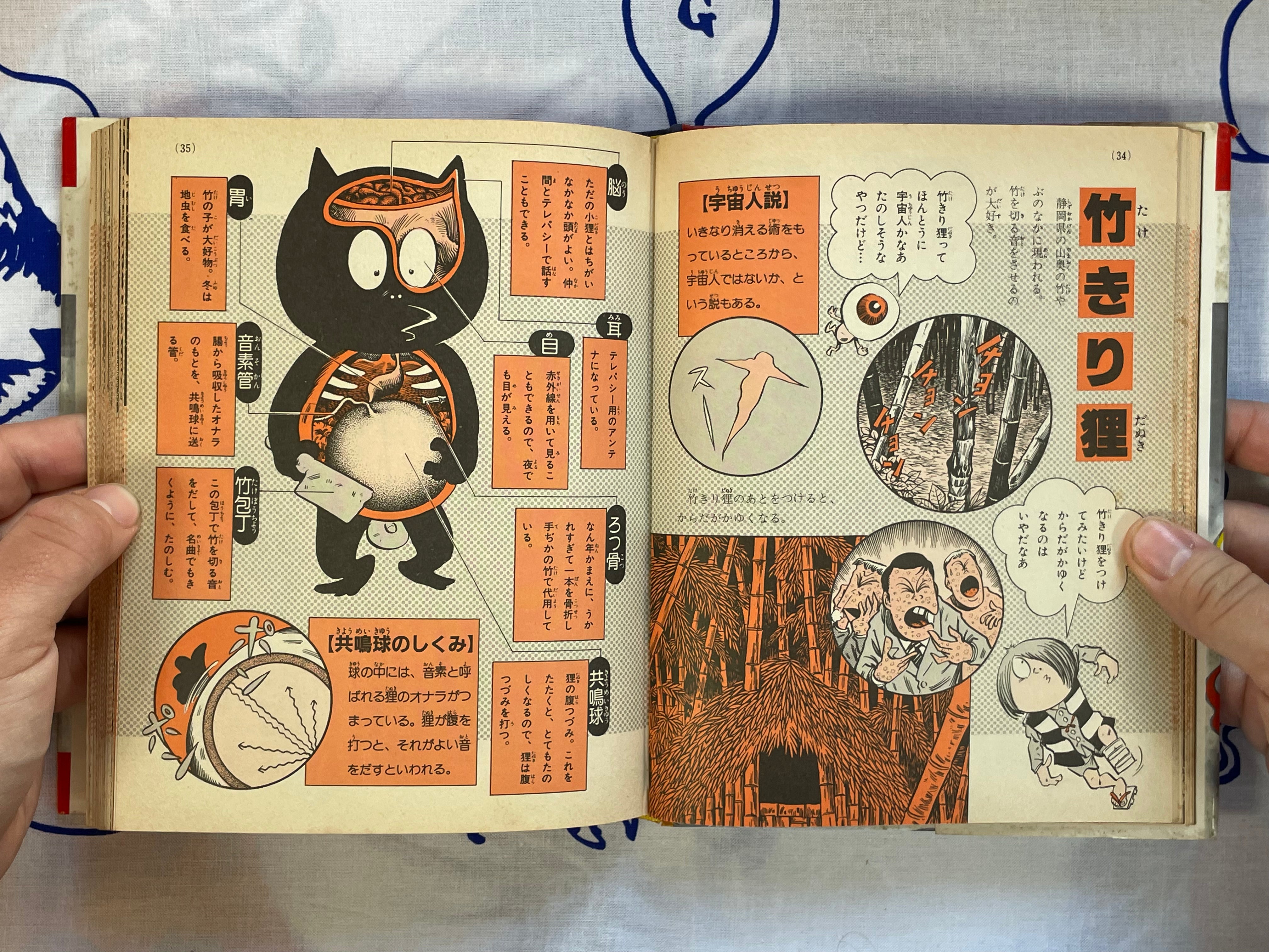 Yokai Pictorial - Hardcover by Mizuki Shigeru (1983) NEEDS DESCRIPTION