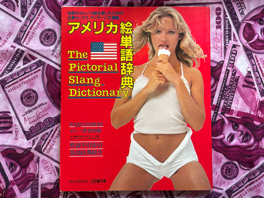 America: The Pictorial Slang Dictionary - Magazine Edition (1980)