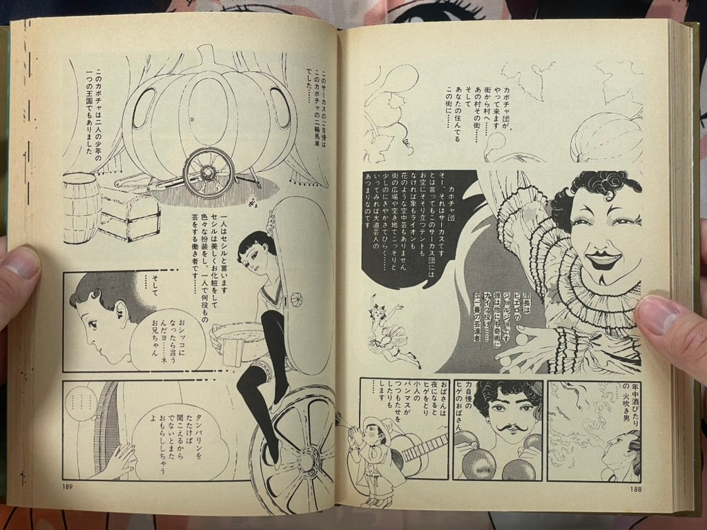 Story of Wearing Flowers on your Head - Hardcover by Miyanishi Keizo (1988)-thumbmail-15