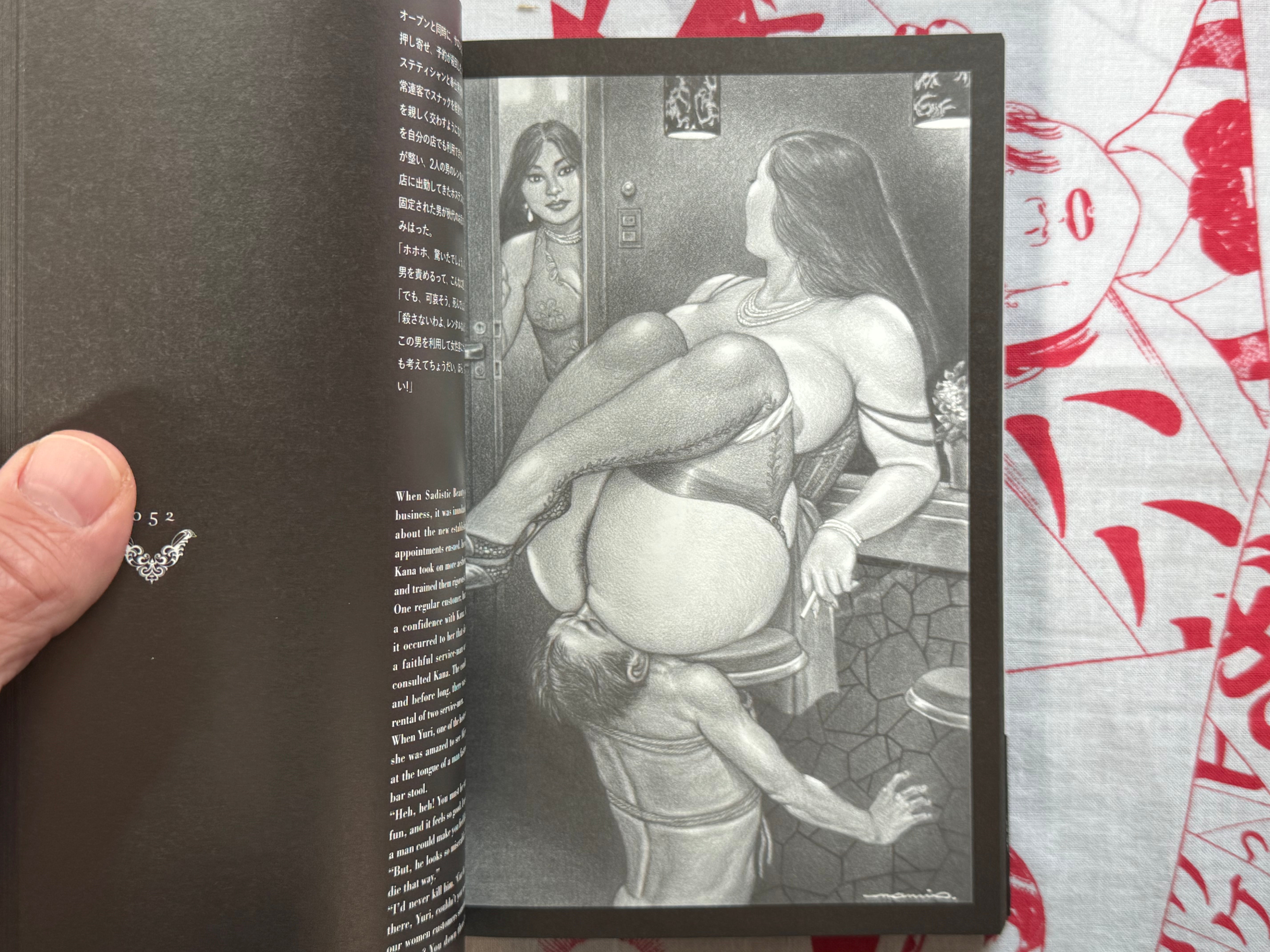 Domina Garden: A Visual Story  by Namio Harukawa