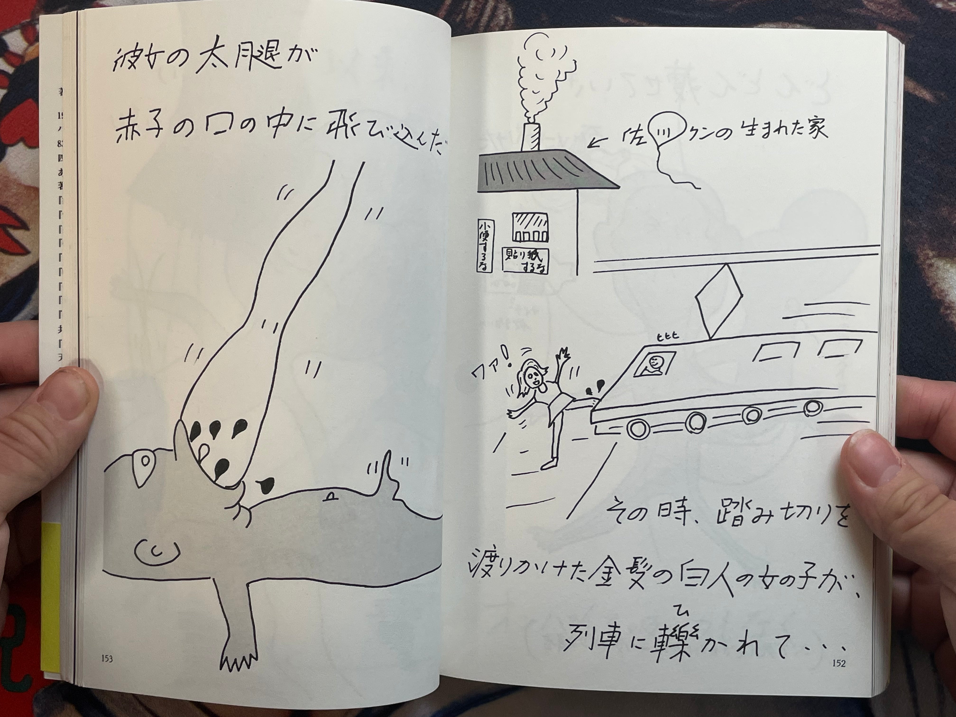 Manga Sagaawa-san by Issei Sagawa (2000/Limited 1000)