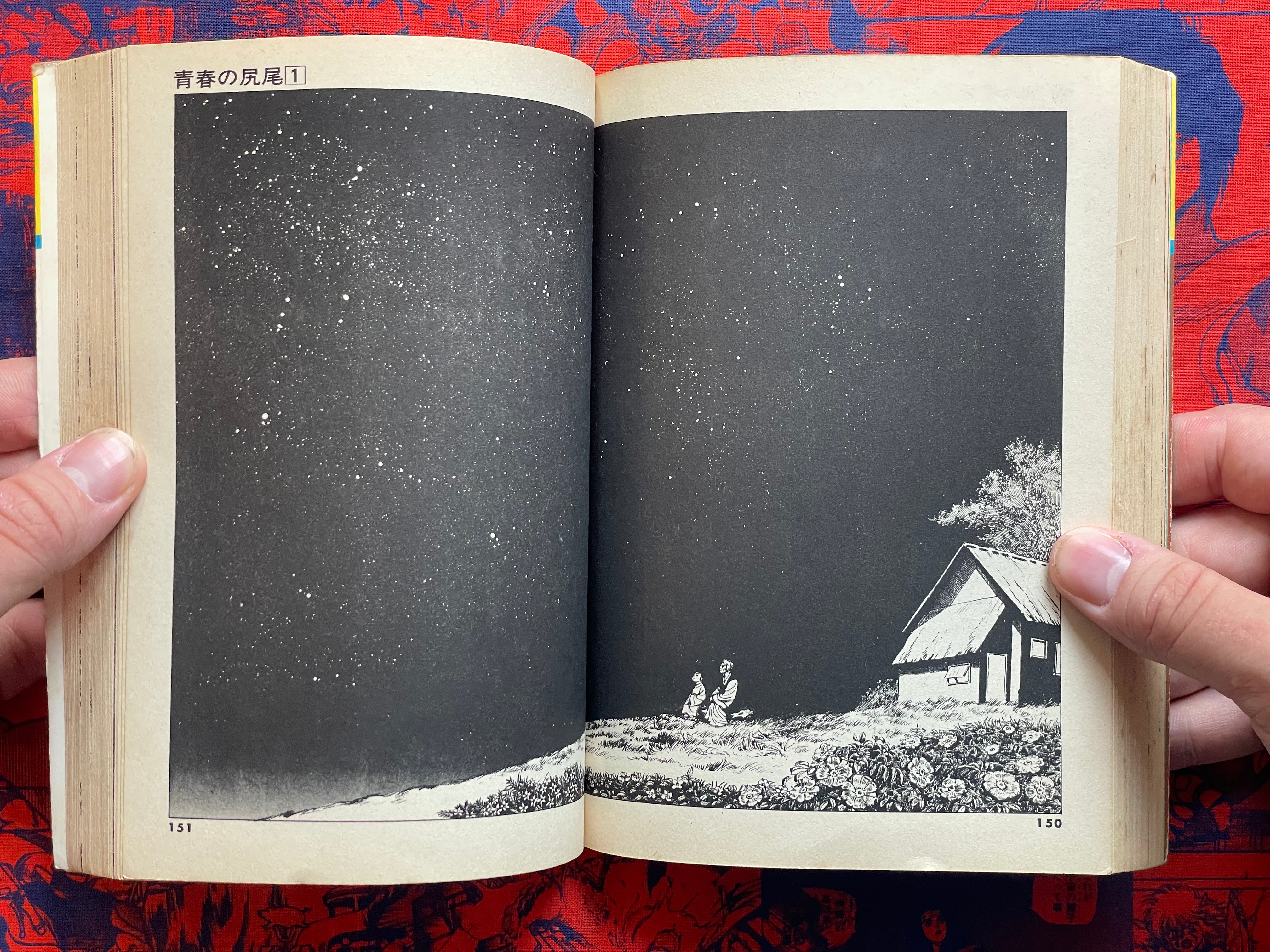 Tail of Youth 1-6 Full Set by Kazuo Koike (1978)-thumbmail-17