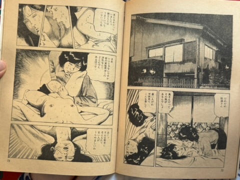 Pink Box Magazine Vol. 11 (1970s?)