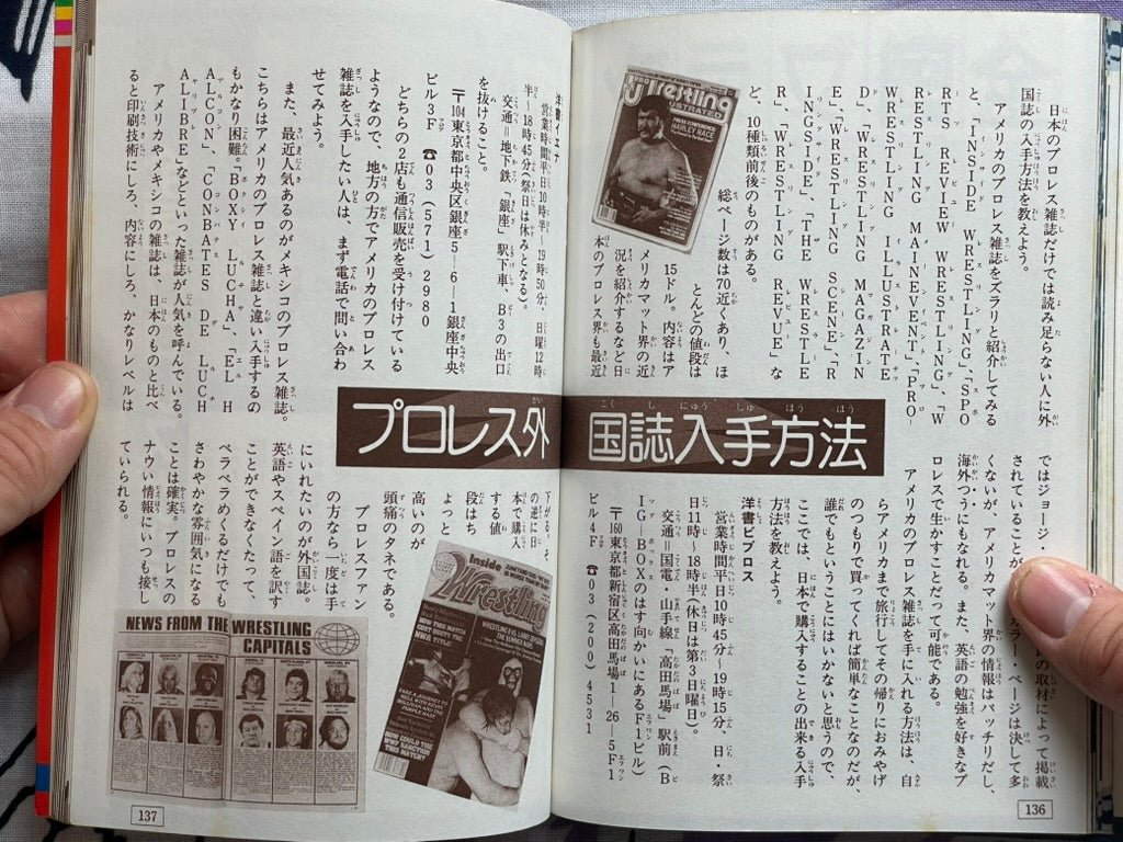 Definitive Edition: Introduction to Pro Wrestling by Big Wrestler (1984)