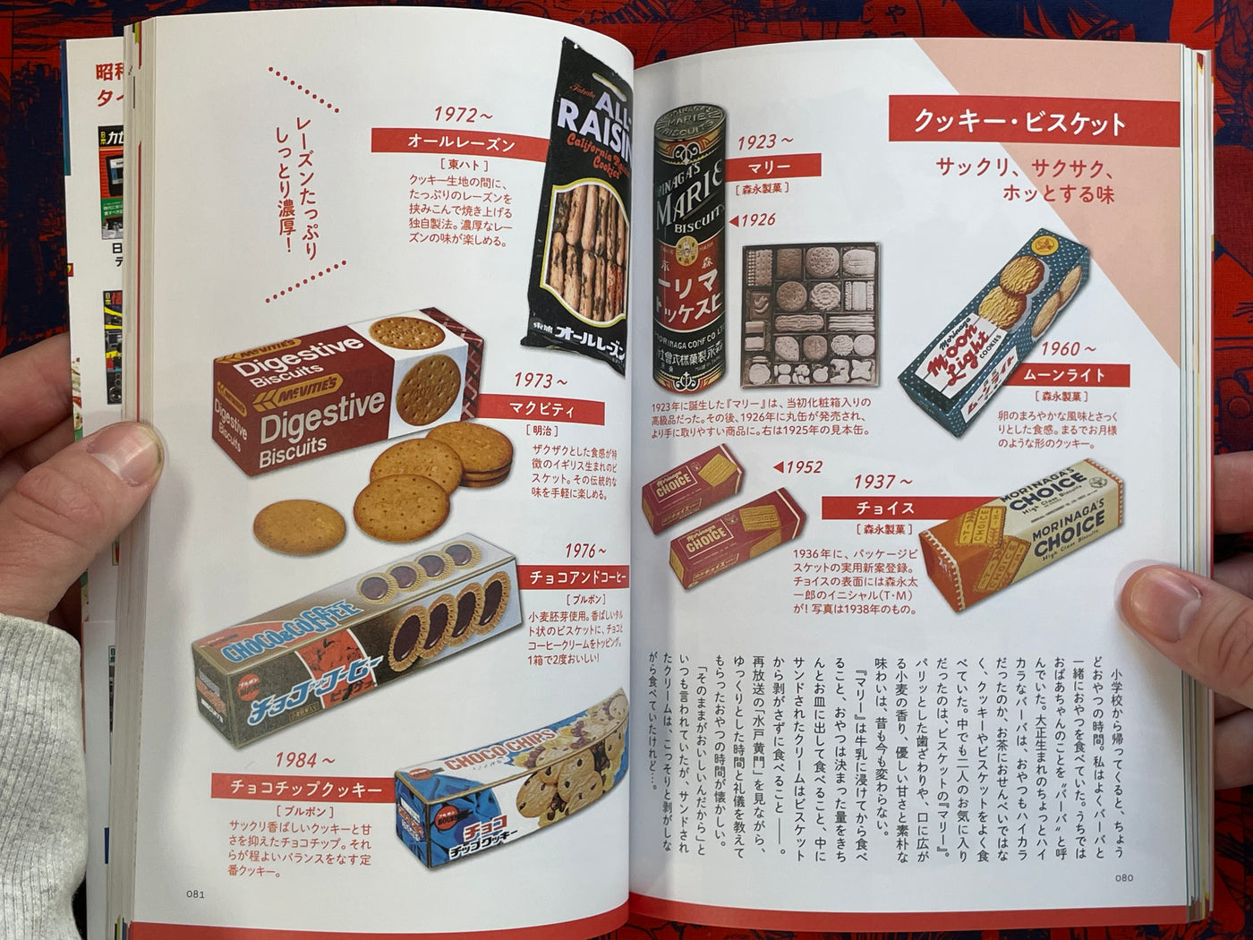 Japan Nostalgic Snack Compendium (2017)