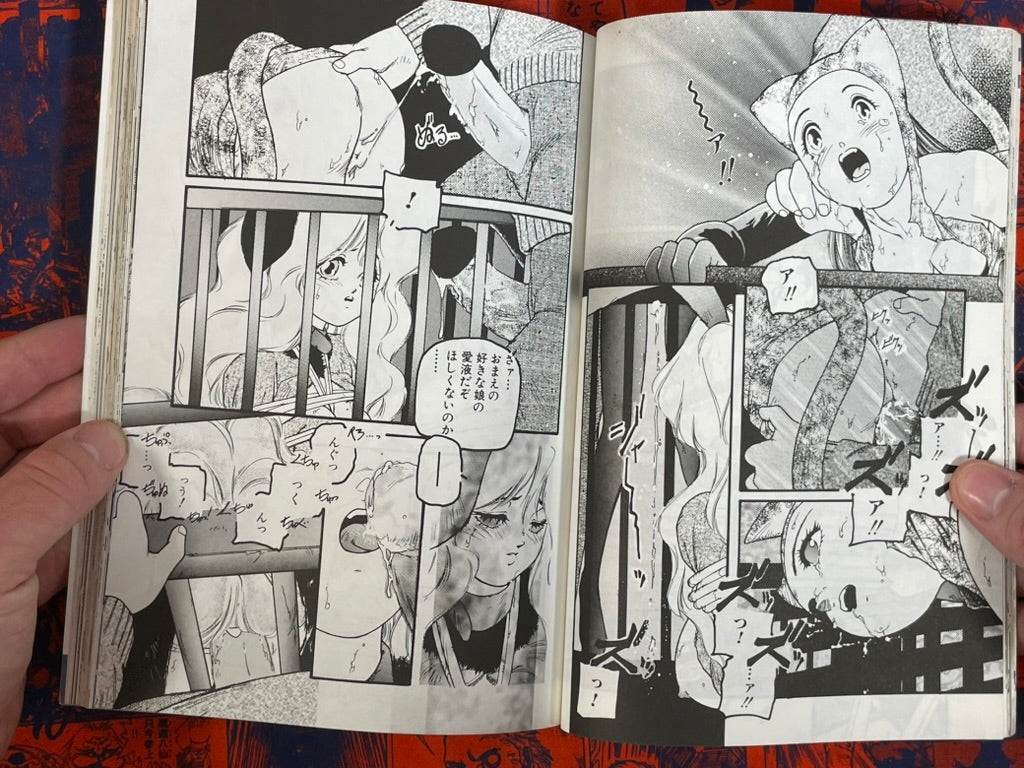 Manga Daisuki Magazine (6/1995)