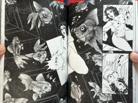 SIGNED! The Bizarre Erotic World of Shingo Tsuchiya (1979/2025 Exhibition)
