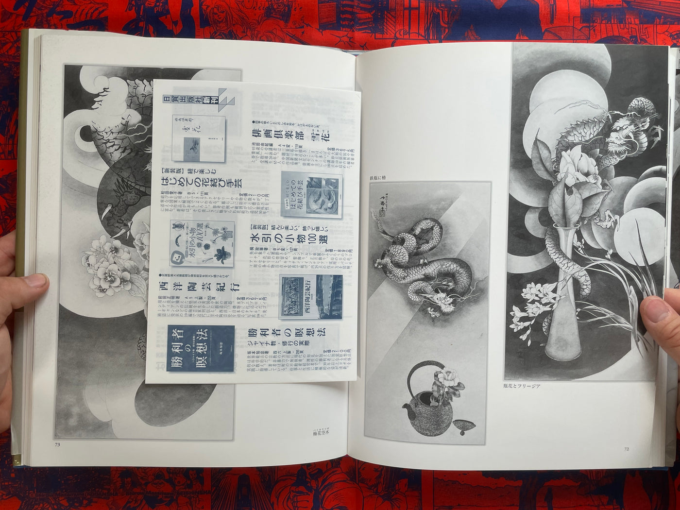 Tansai: Art of 100 Dragons - hardcover by Terano Tansai (2011)