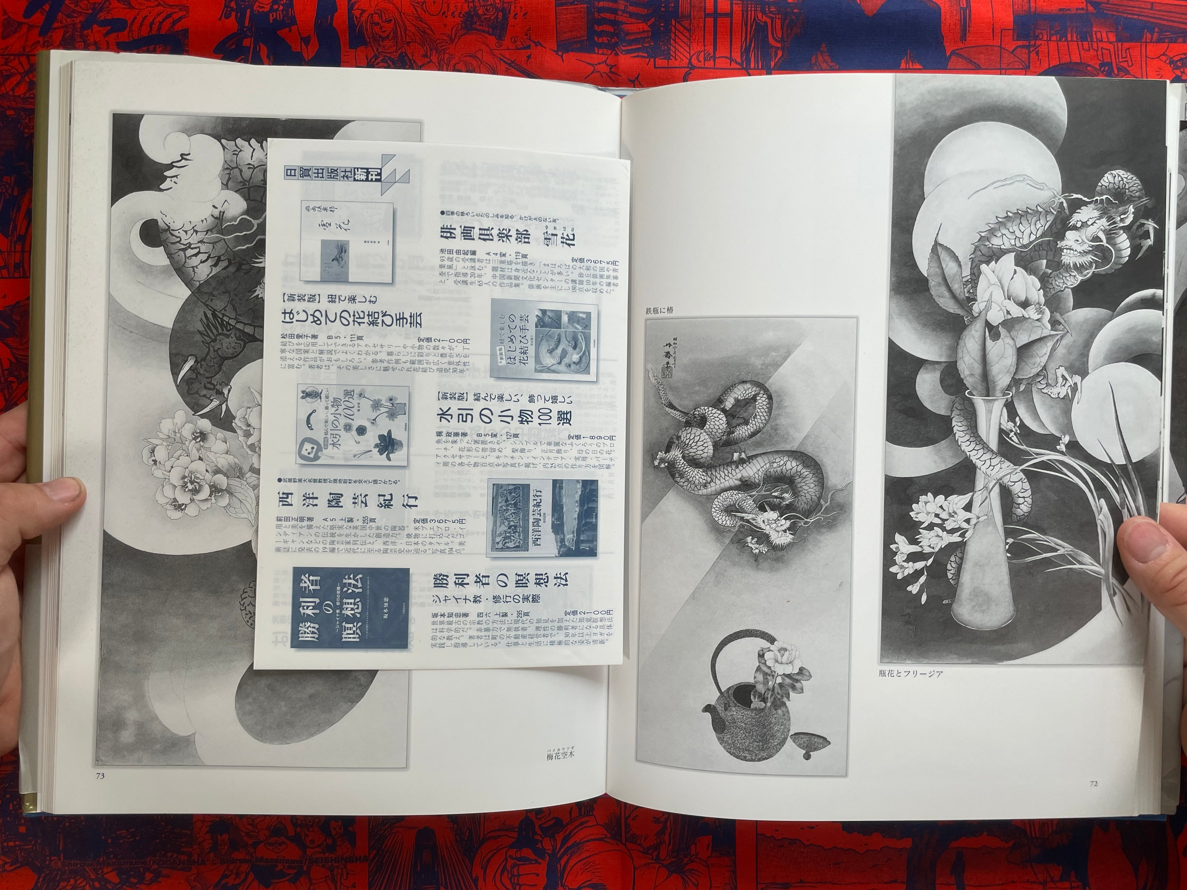 Tansai: Art of 100 Dragons - hardcover by Terano Tansai (2011)