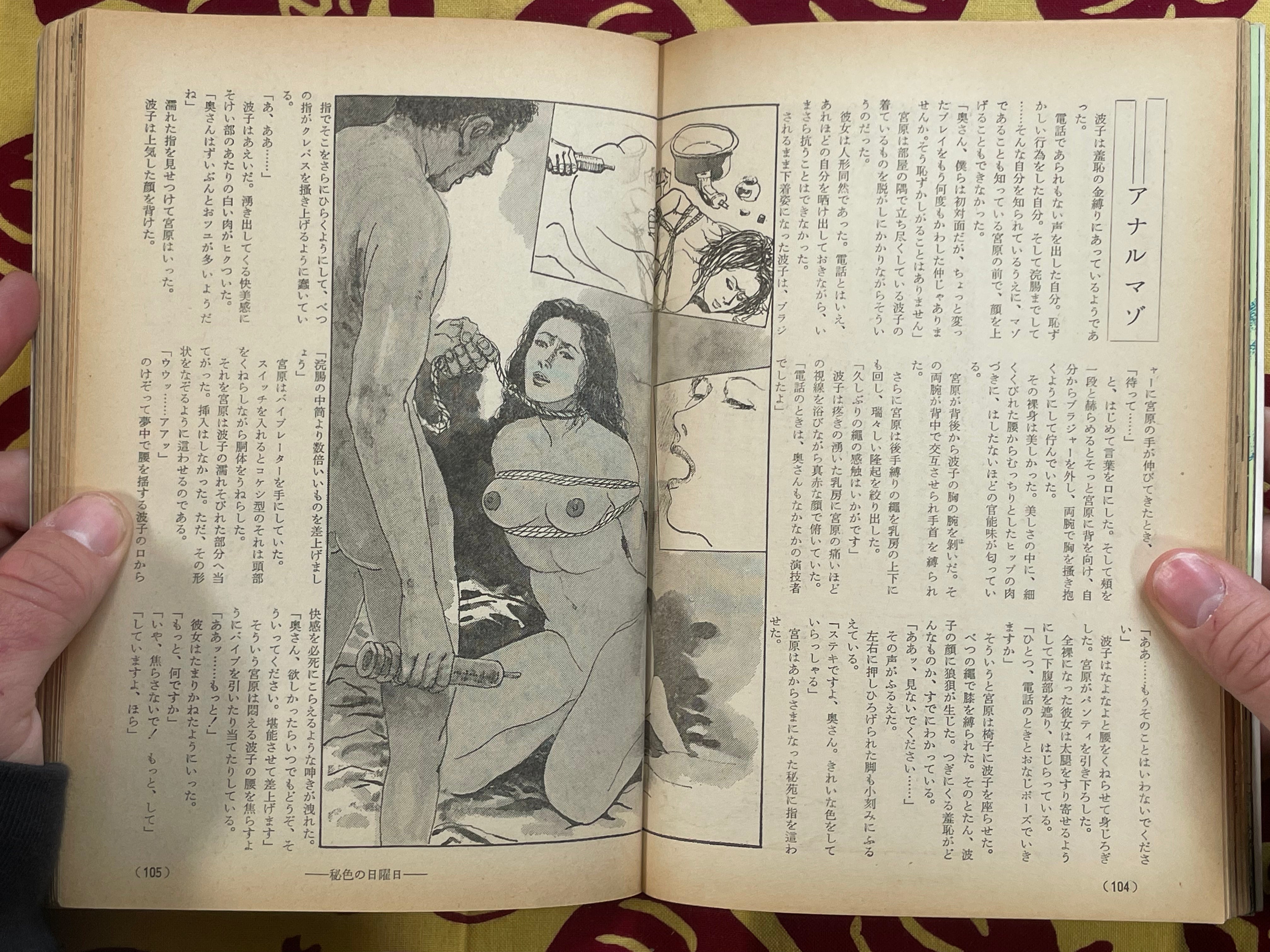 SM Phoenix Magazine (8/1980)