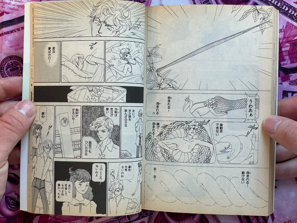 Voice of the Tide by Mayuri Yamamoto (1992)