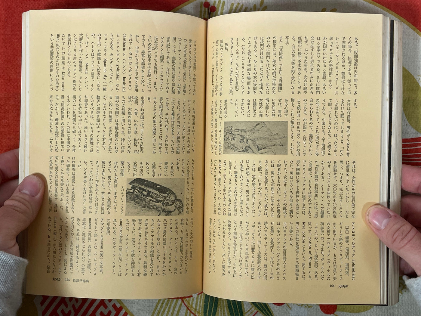 Erotica 1st Issue (1969)