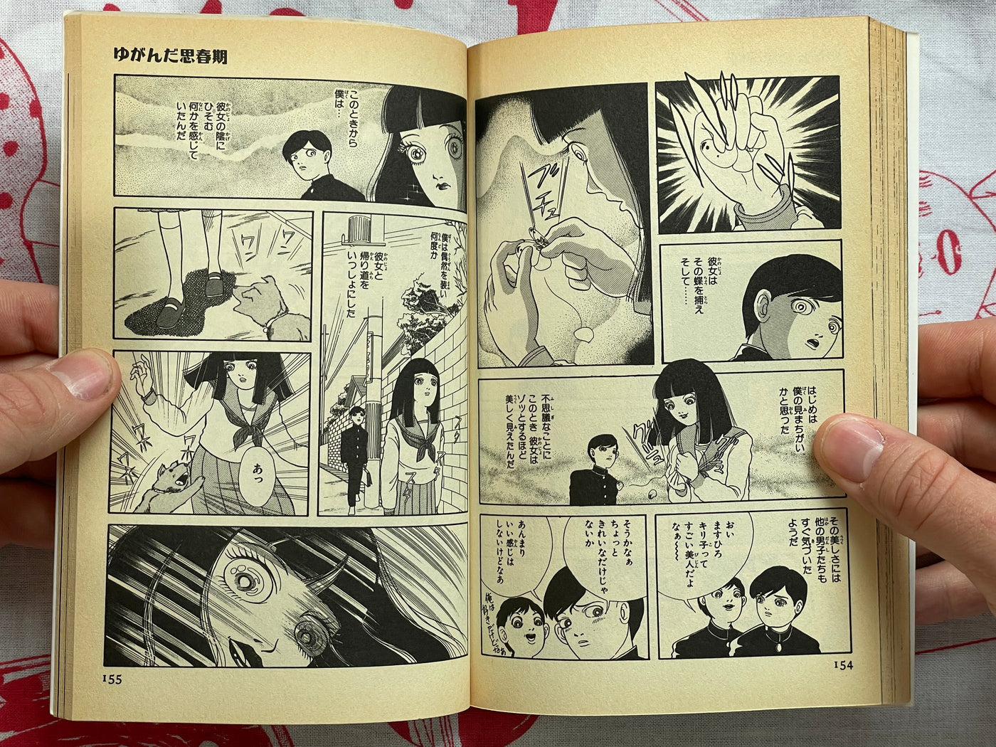 Slightly Scary Stories you can Find Anywhere by Kanako Inuki (1998)