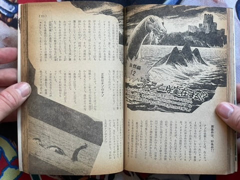 World of Riddle and Wonder by Gakken (1974)