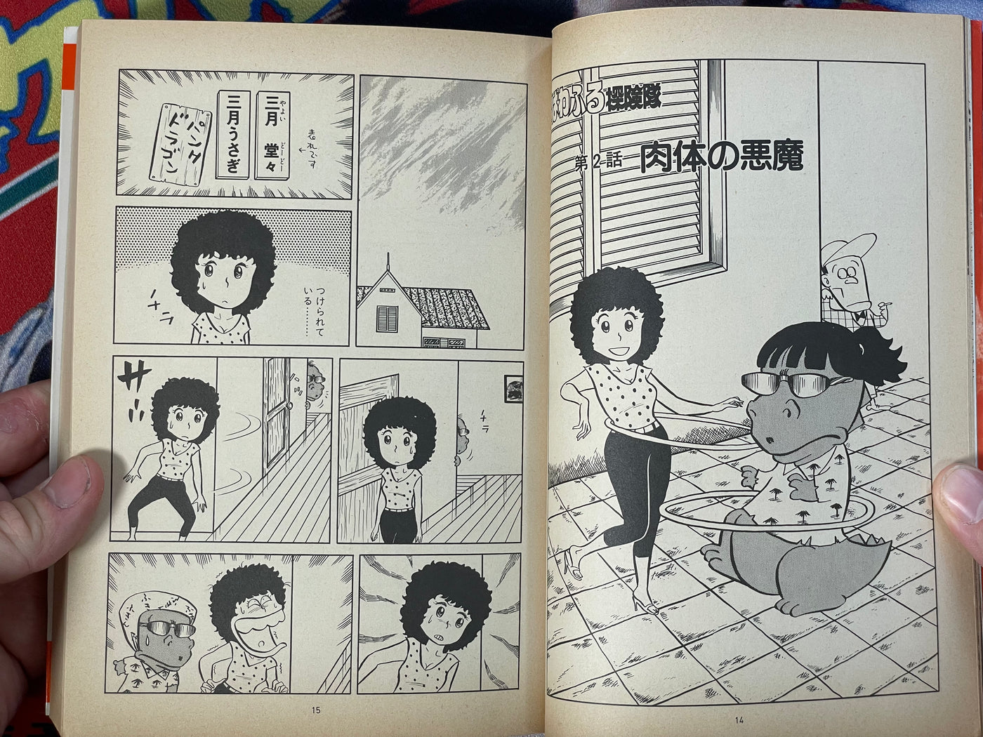 Powerful Expedition by Ishikawa Jun (1982)
