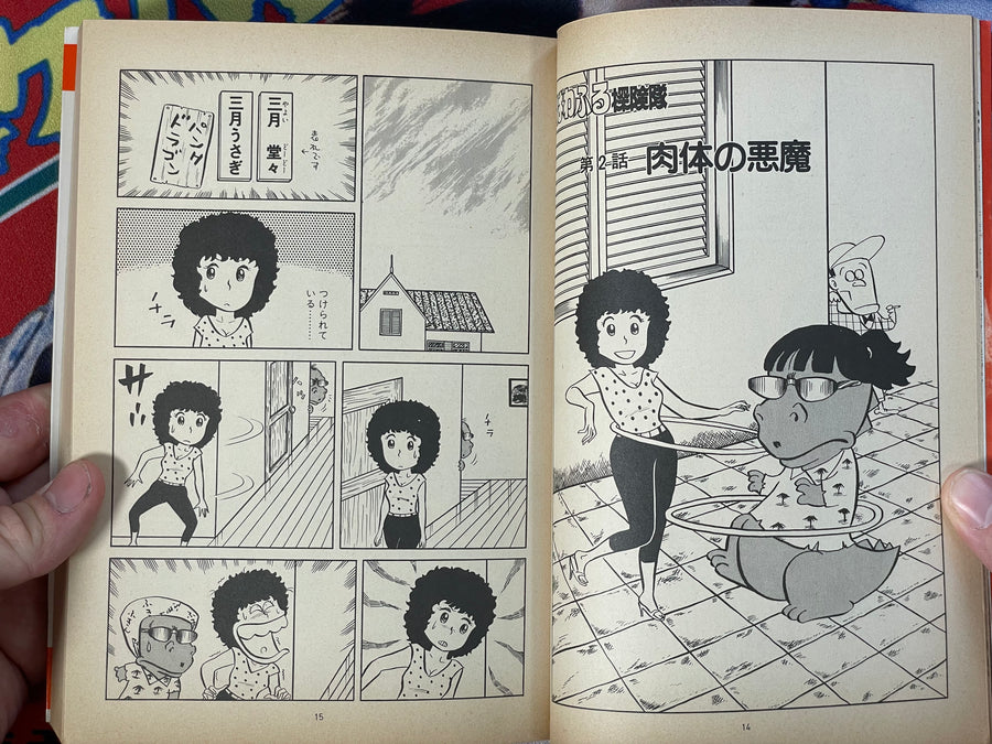 Powerful Expedition by Ishikawa Jun (1982)