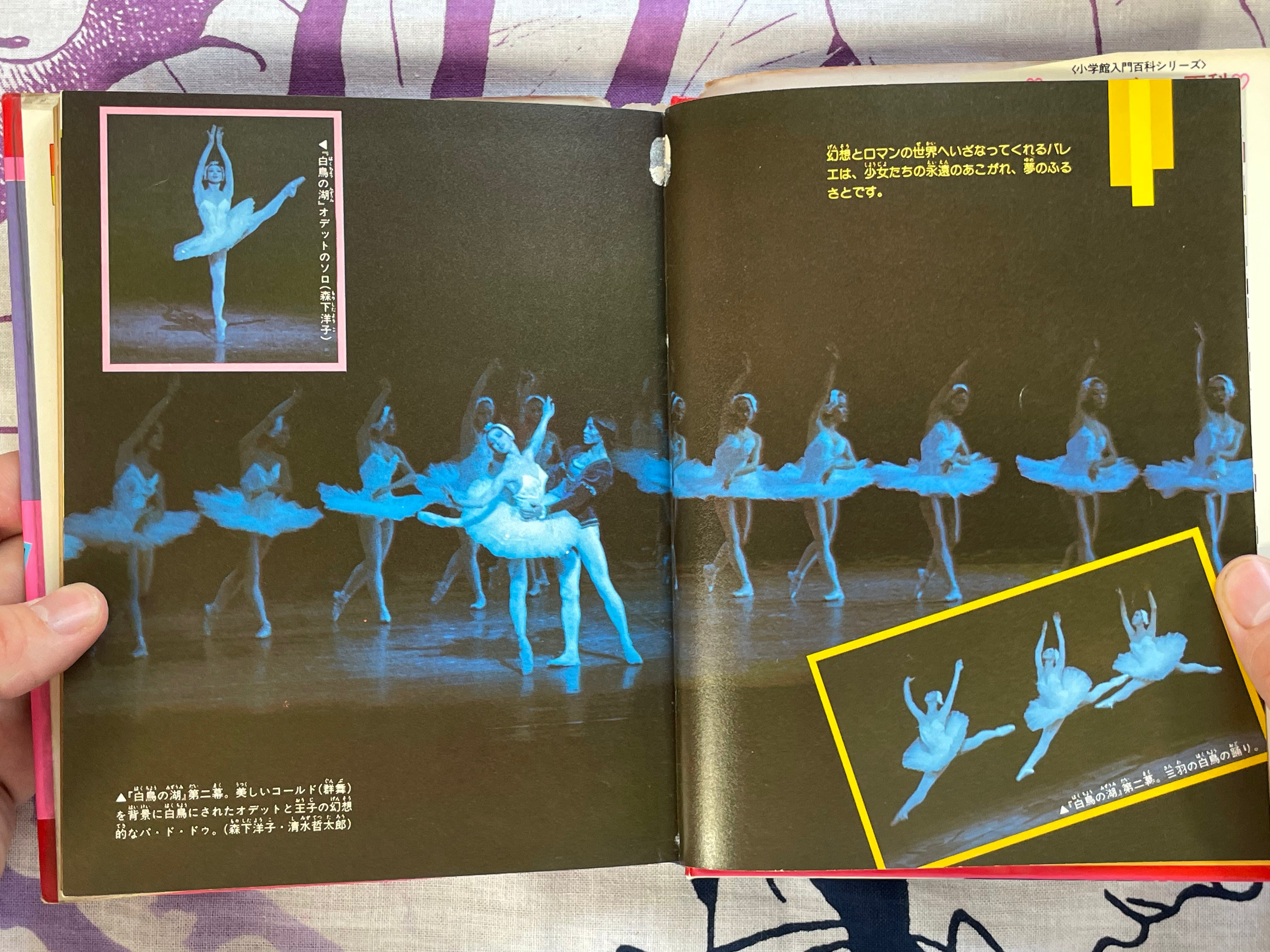 Mini Lady Encyclopedia: Introduction to Ballet #94 by Shogakukan (1980)