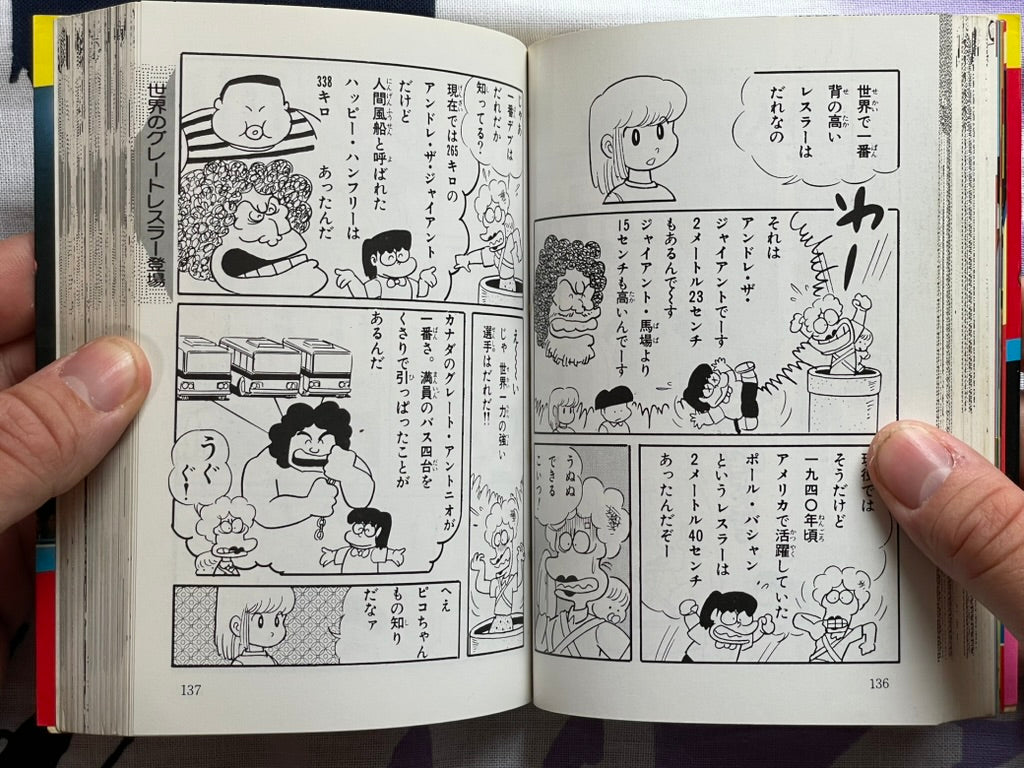 Pro Wrestling Everything All Together - Bunko Edition by Inoue Yoshihiro (1984)