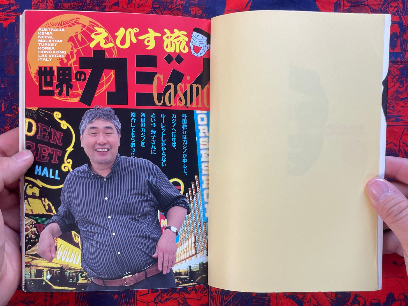 What is this!! Work Collection by Yoshikazu Ebisu (1996)