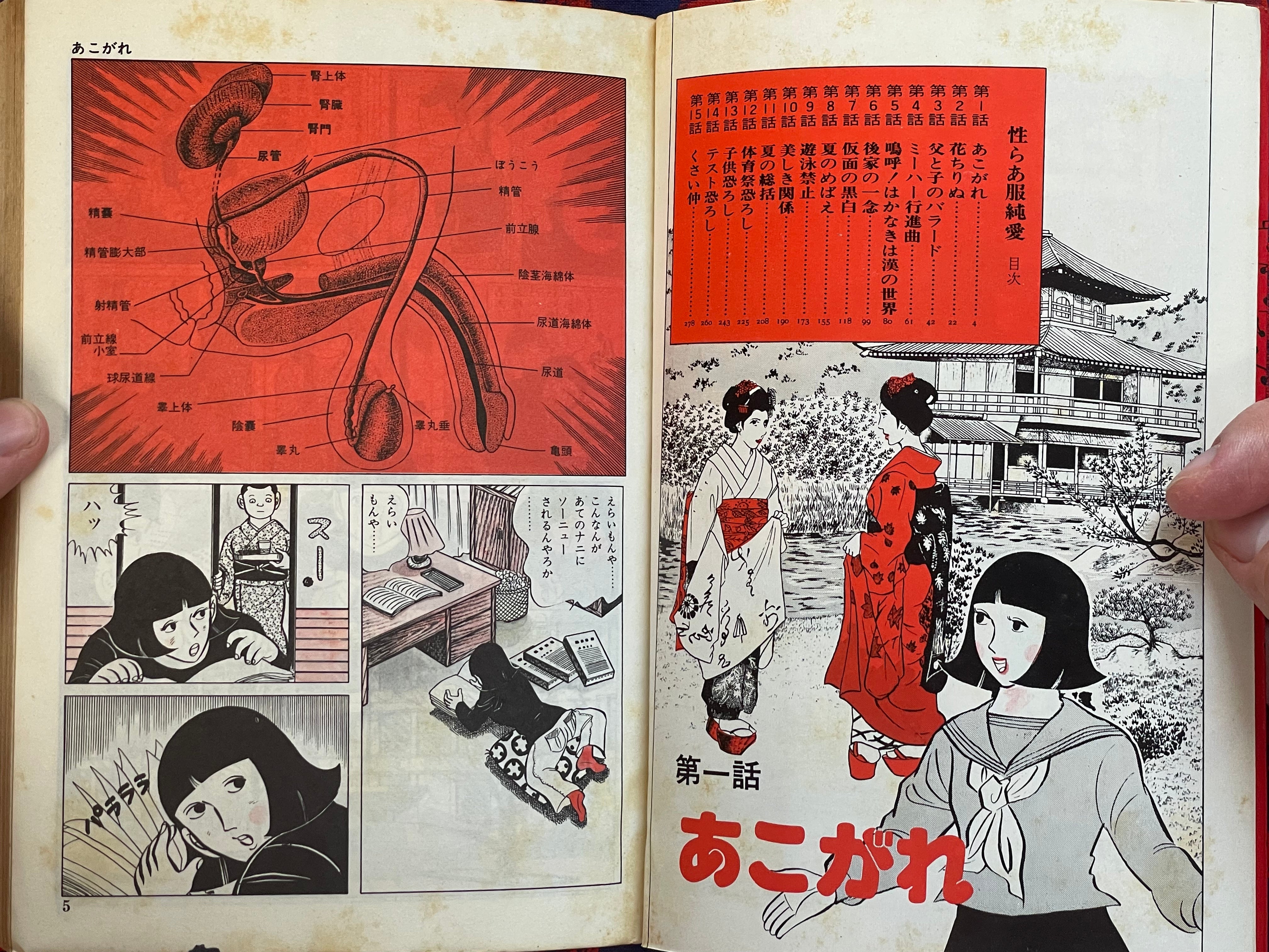 Sailor Uniform Young Love by Taku Yasuda (1975)