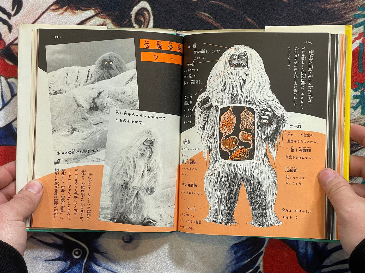 Introduction to Kaiju by Shoji Otomo & Tsuburaya Pro (1972/1990 edition)