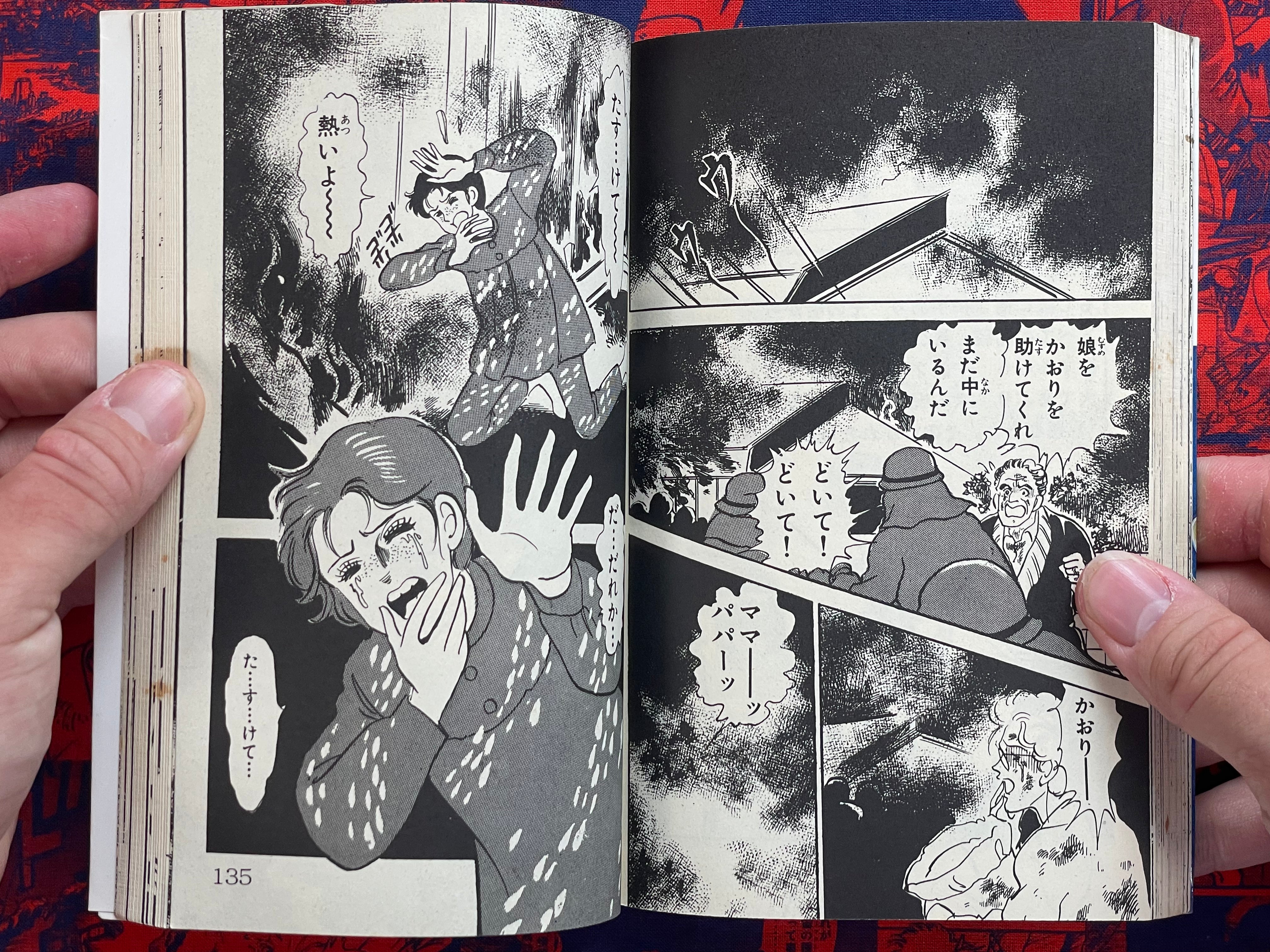 Demon's Revenge by Hironaga Maki (1986)