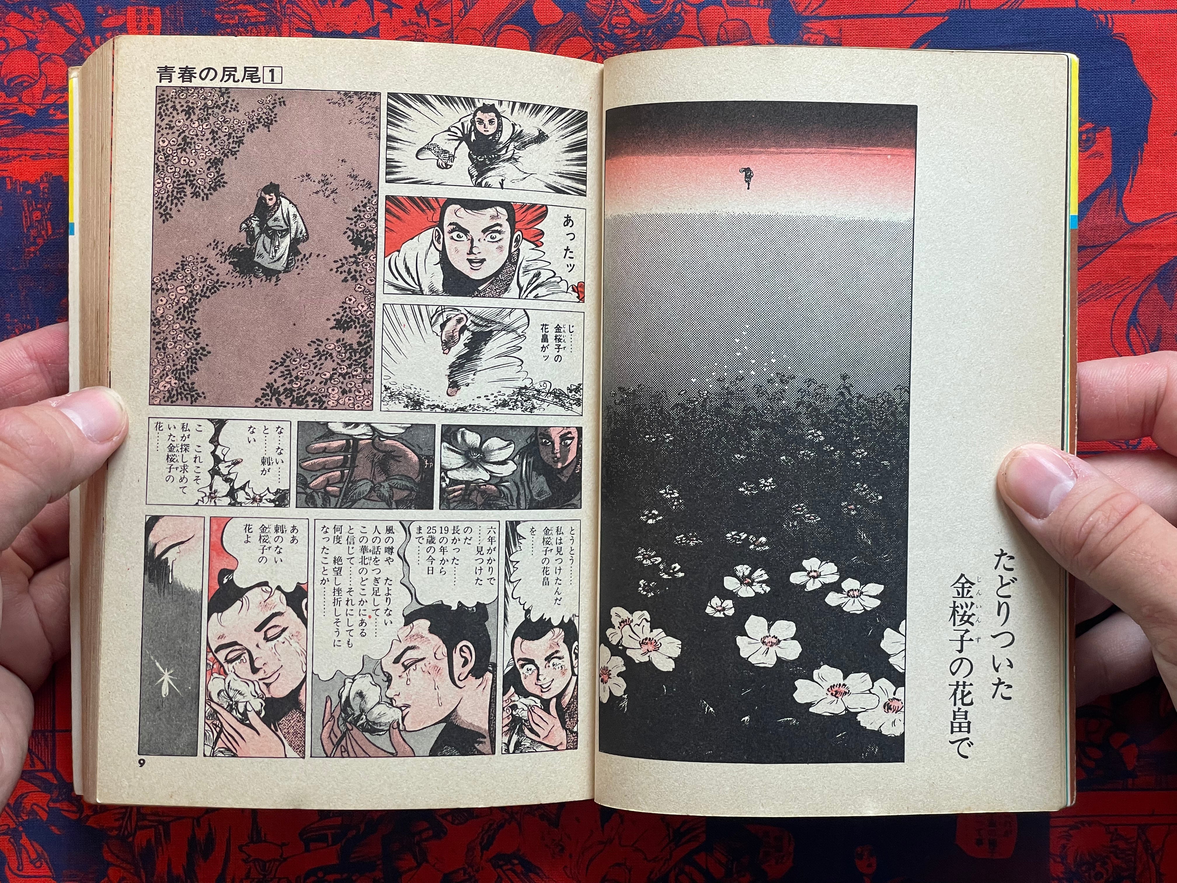 Tail of Youth 1-6 Full Set by Kazuo Koike (1978)-thumbmail-8