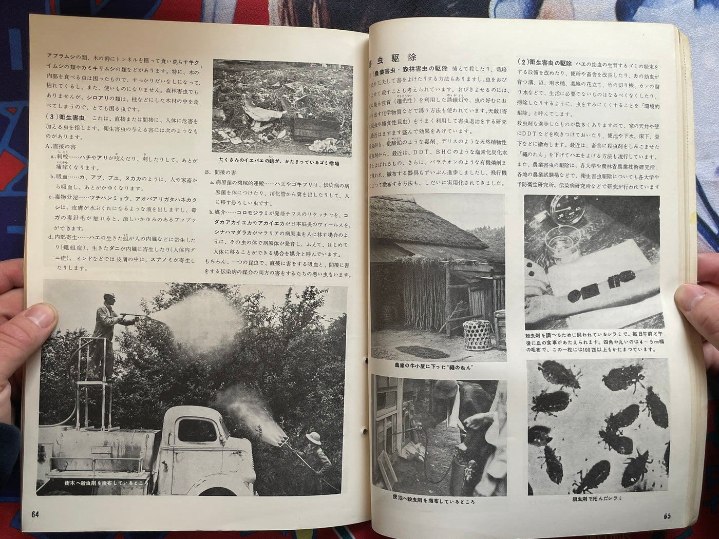 The Science Graph Vol. 6: Insect Special Edition (1962)