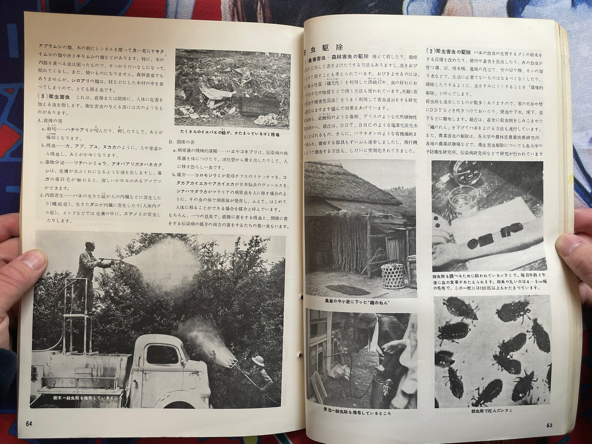 The Science Graph Vol. 6: Insect Special Edition (1962)