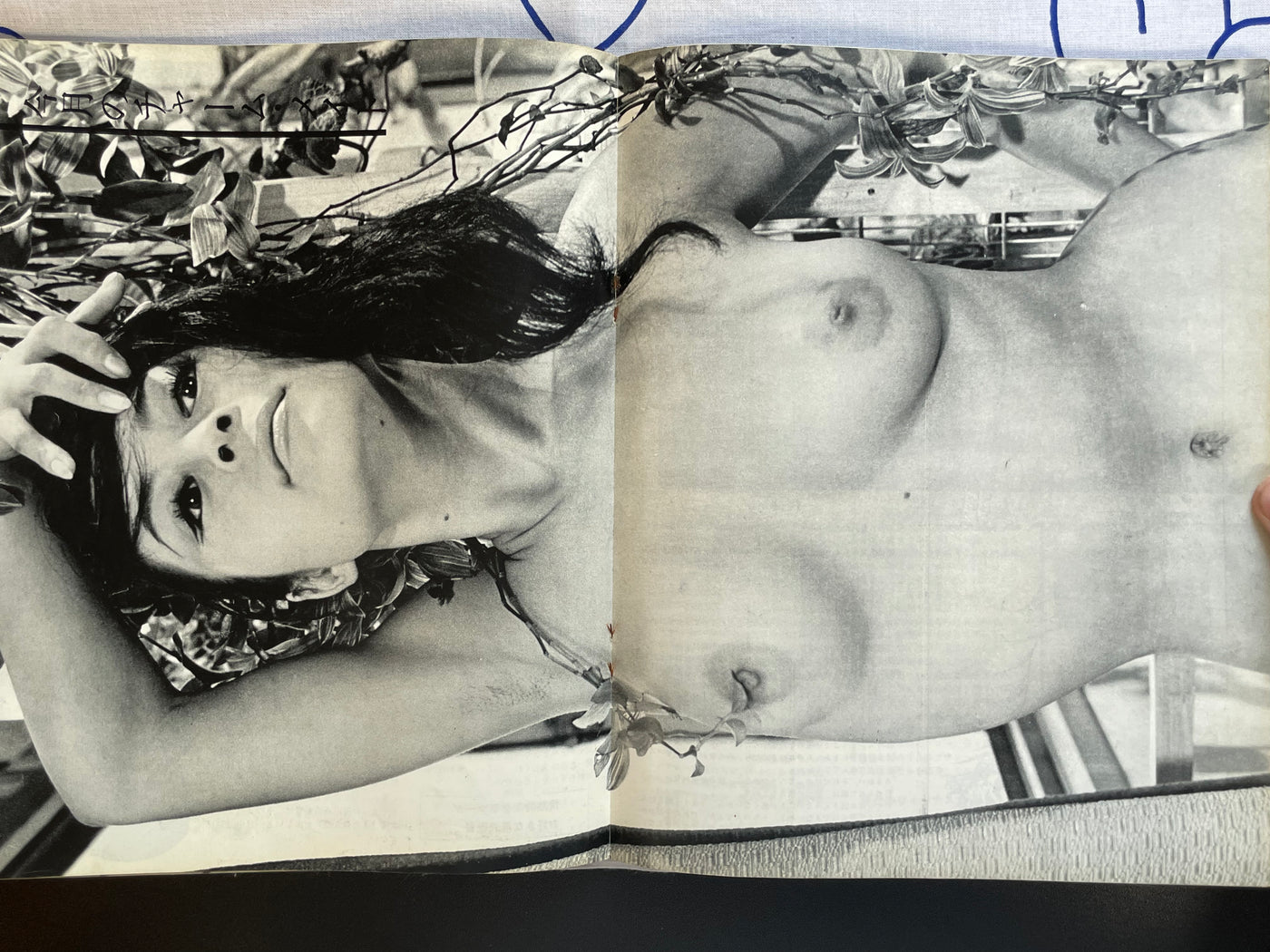 Glamour Photo (1968/1)