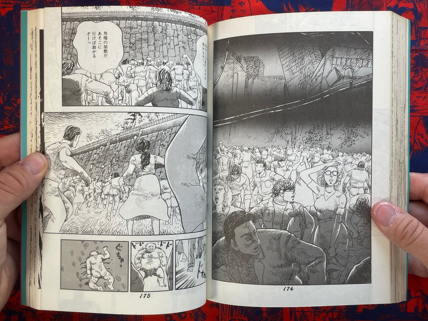 Metamorphosis BY Kosuzu Hiromi (1983)
