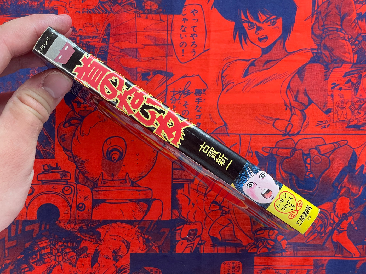 Headless Girl by Koga Shinichi (1980)