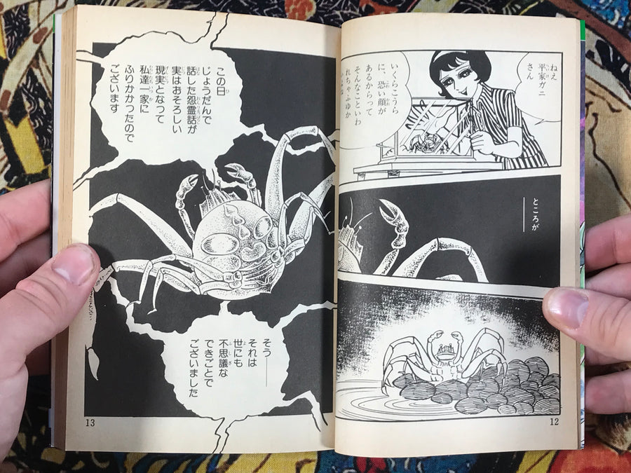 The Boy Who Lived Even After Death by Koji Sugito (1987)