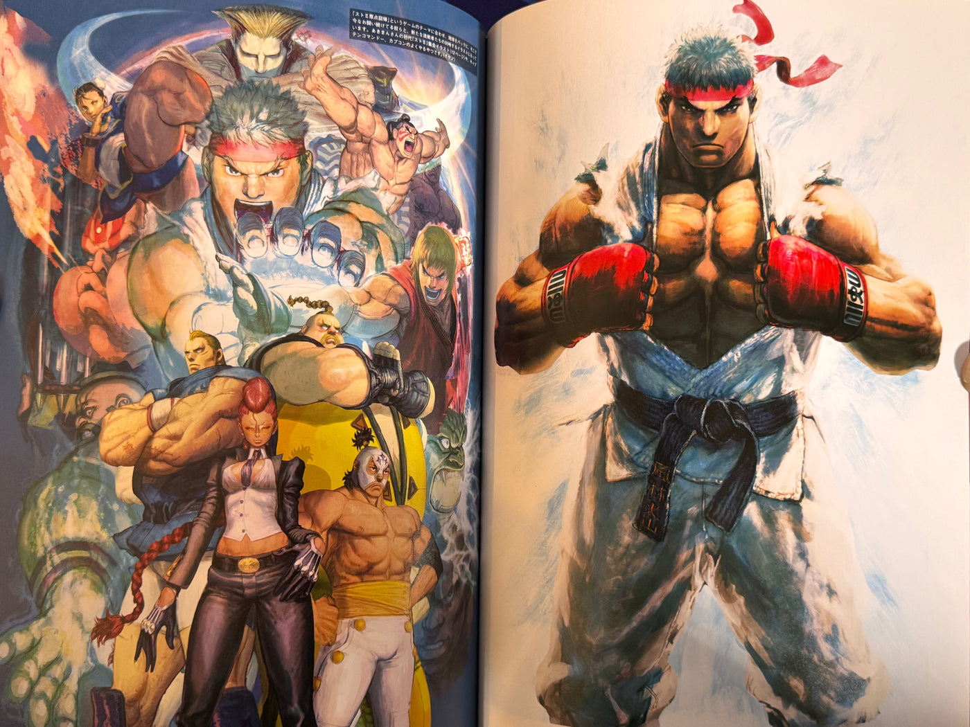 CAPCOM Street Fighters Art Works Supremacy (2009) · Japan Book Hunter