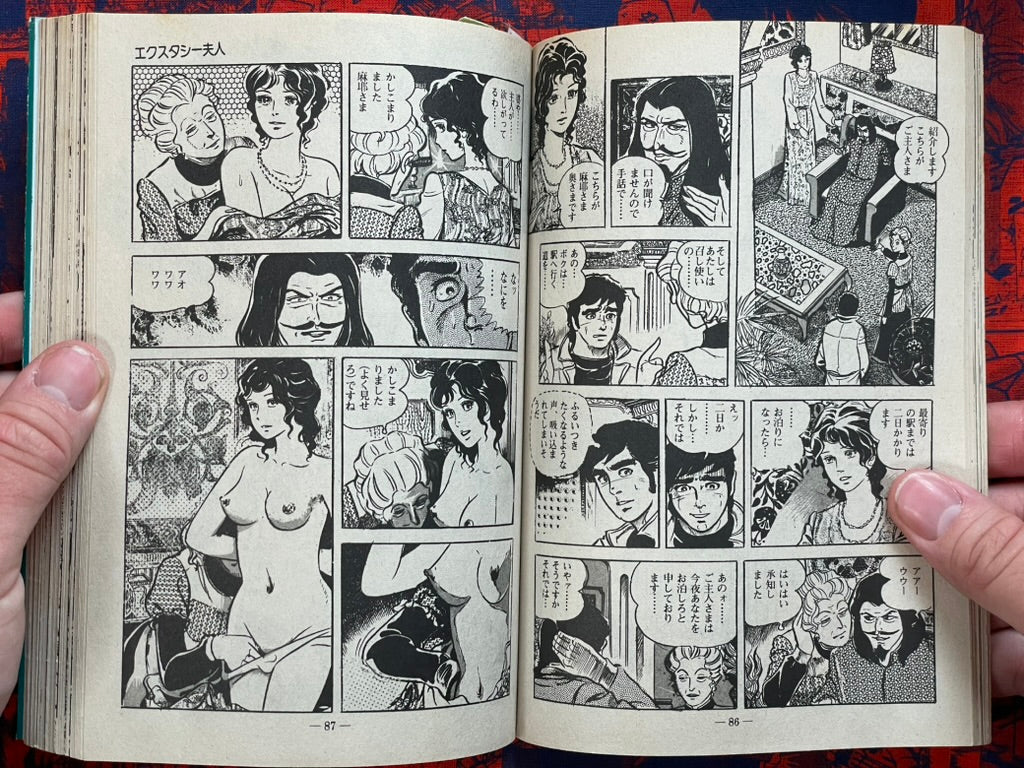 Sexy Doll by Hatano Emi (1983)-thumbmail-6