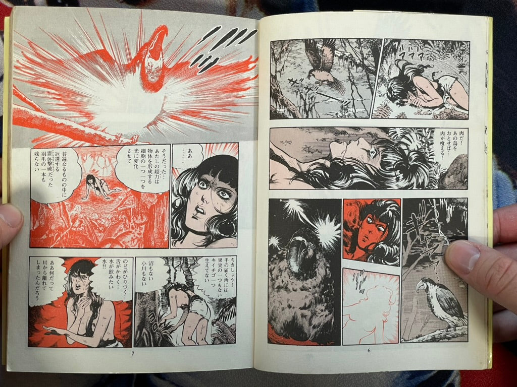 You Adoro 2 by Mieko Kawasaki (1979)