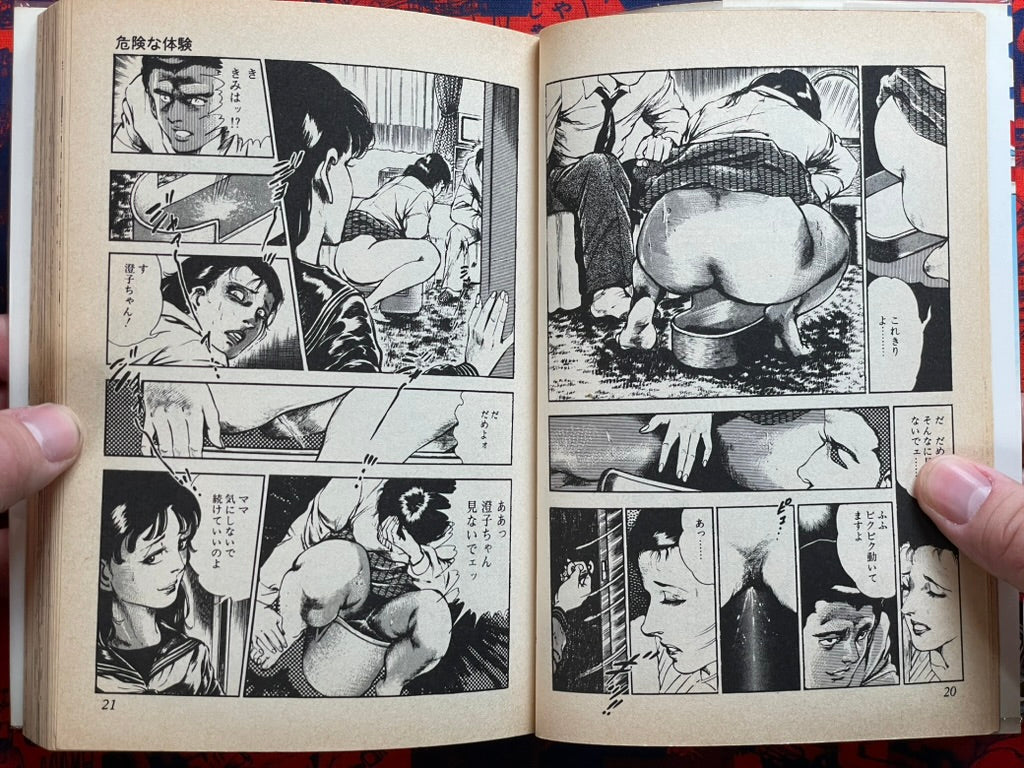 Dangerous Experience by Ohshima Takeshi (1982)