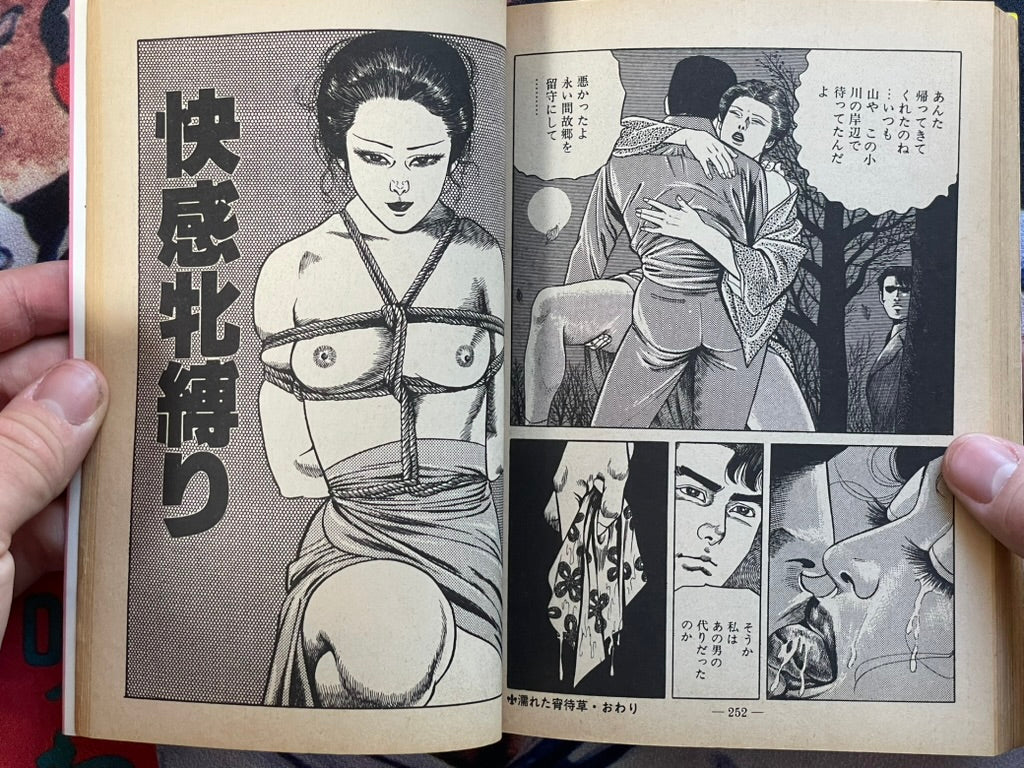 Moan at the Whip by Sugawara Takuya (1981)