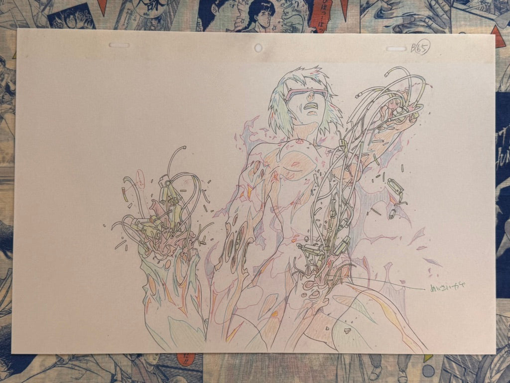 Ghost in the Shell 2026 Exhibition Reproduction Genga 18 (1 Print)
