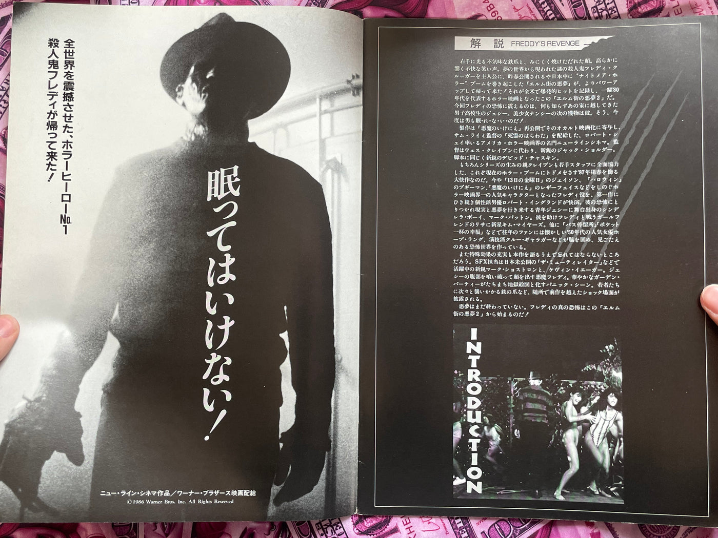 A Nightmare on Elm Street 2 Movie Pamphlet (1985?)