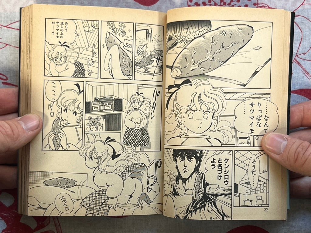 Not There Yet! - bunko size by Nakata Aki (1988)