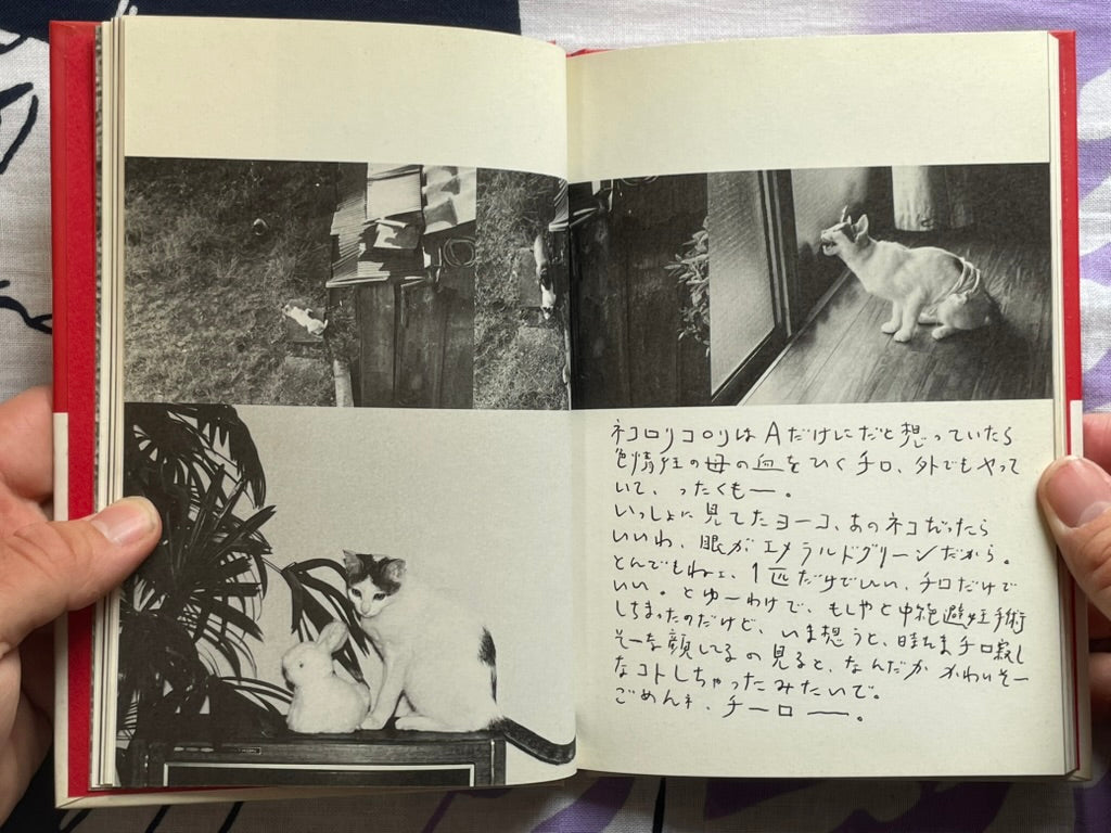 Chiro, My Love - Hardcover by Nobuyoshi Araki (1990)