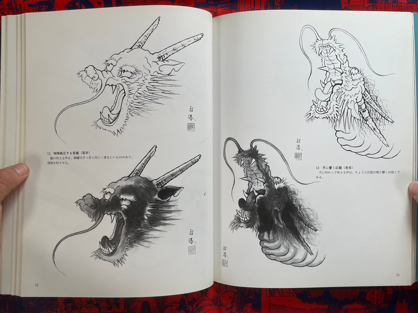 Introduction to Drawing Dragons (1999)