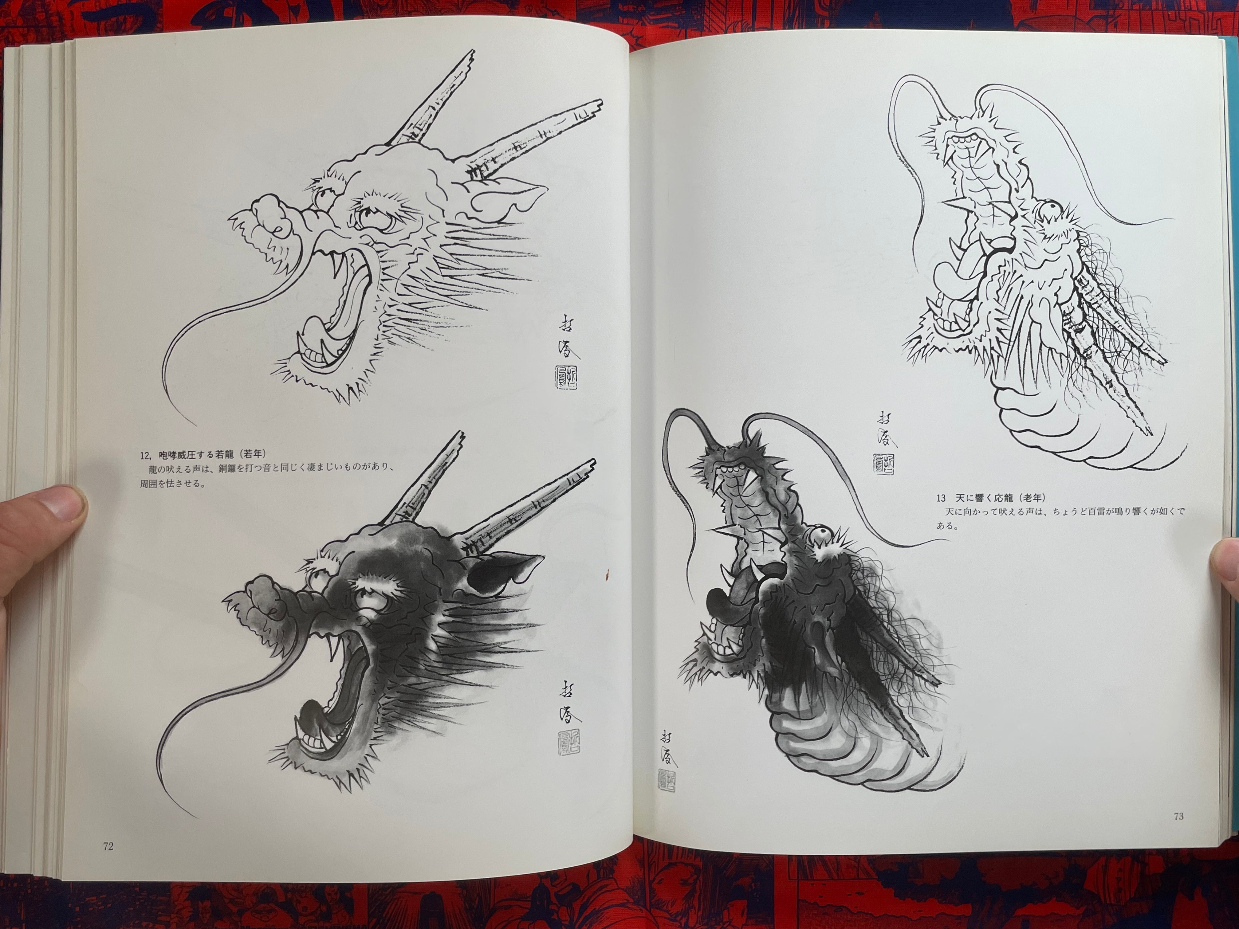 Introduction to Drawing Dragons (1999)