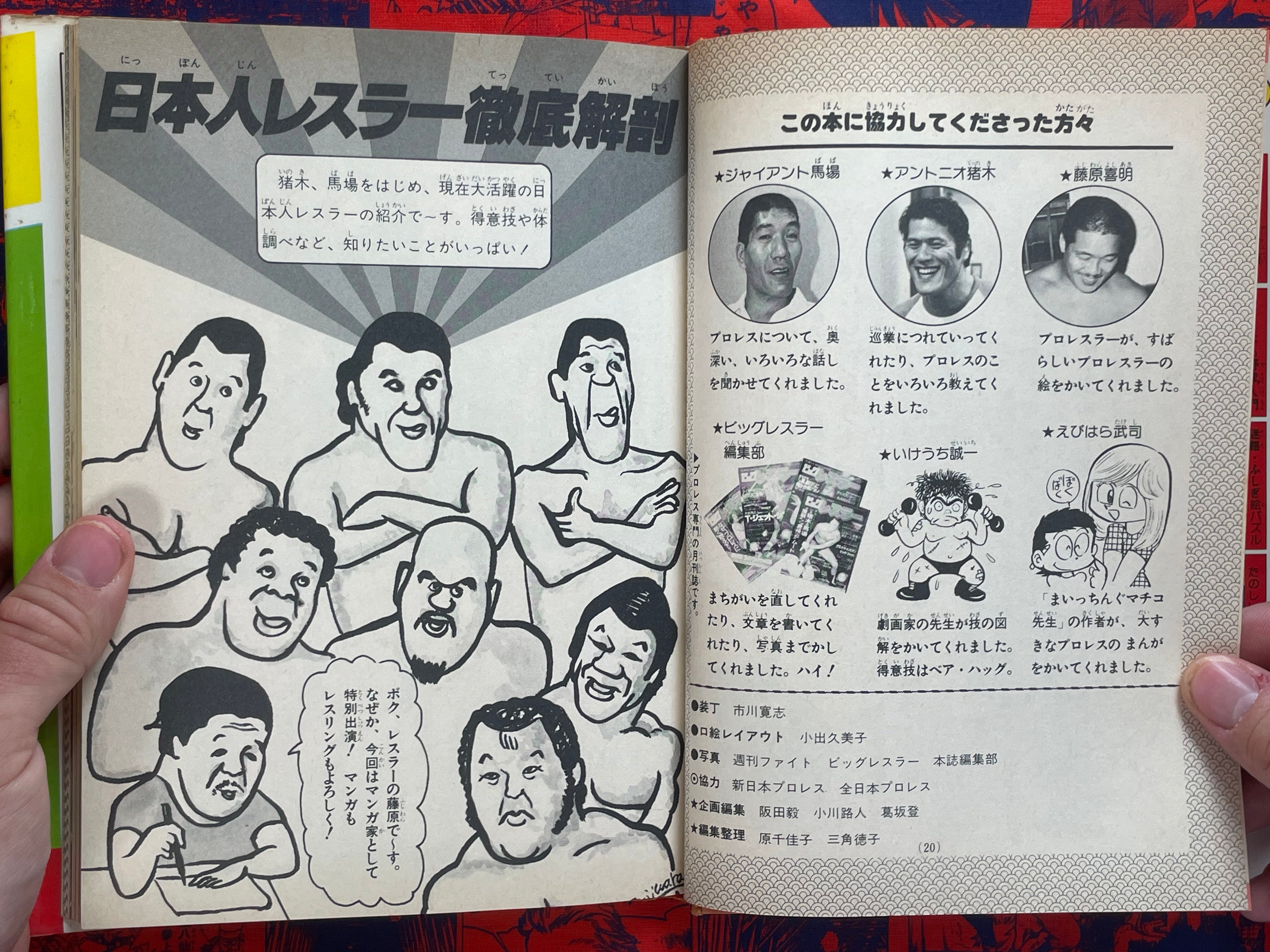 Pro Wrestling Surprise Encyclopedia - Hardcover by Big Wrestler (1982)