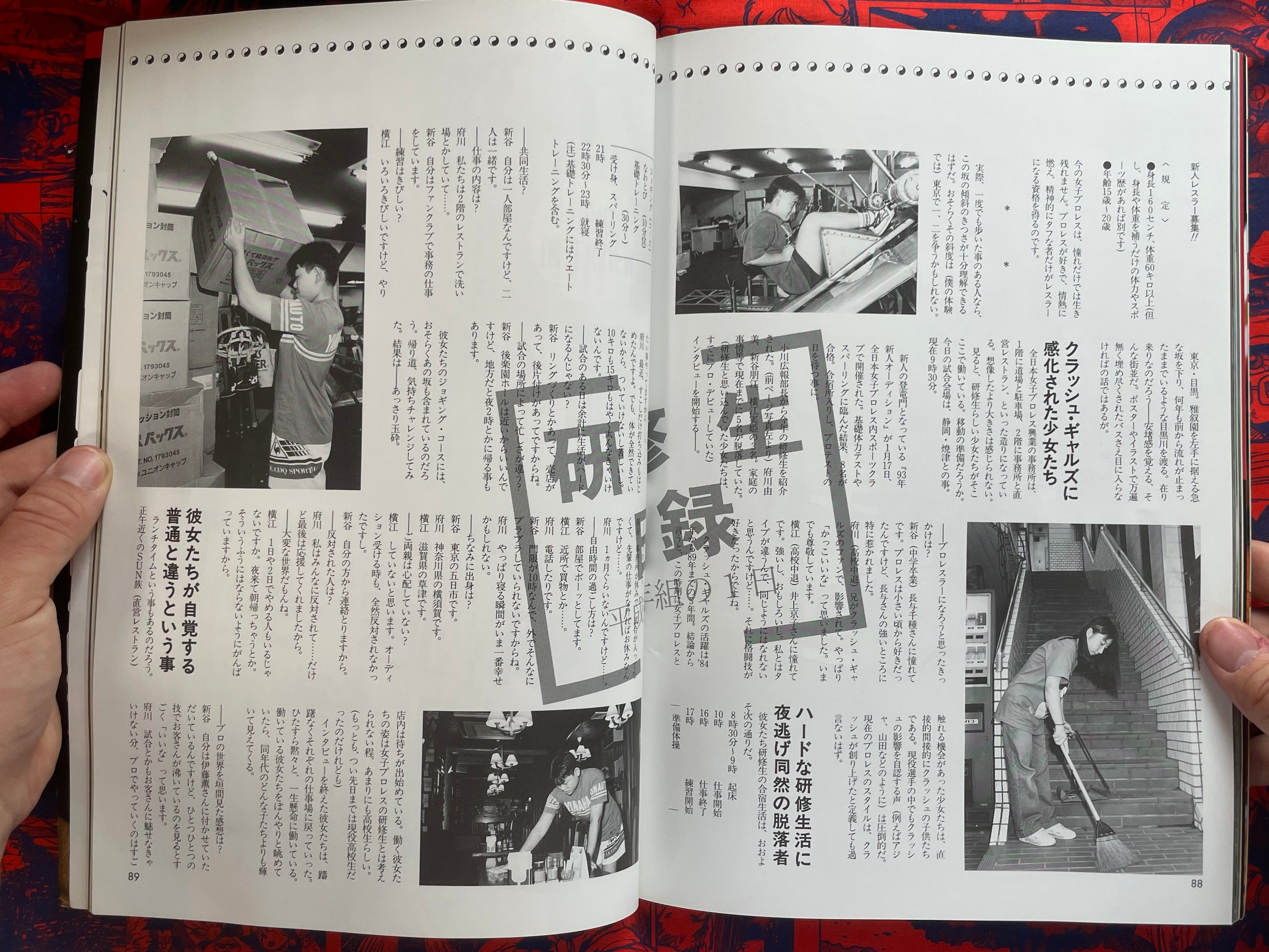 All Japan Women's Pro Wrestling 25th Anniversary Book (1993)