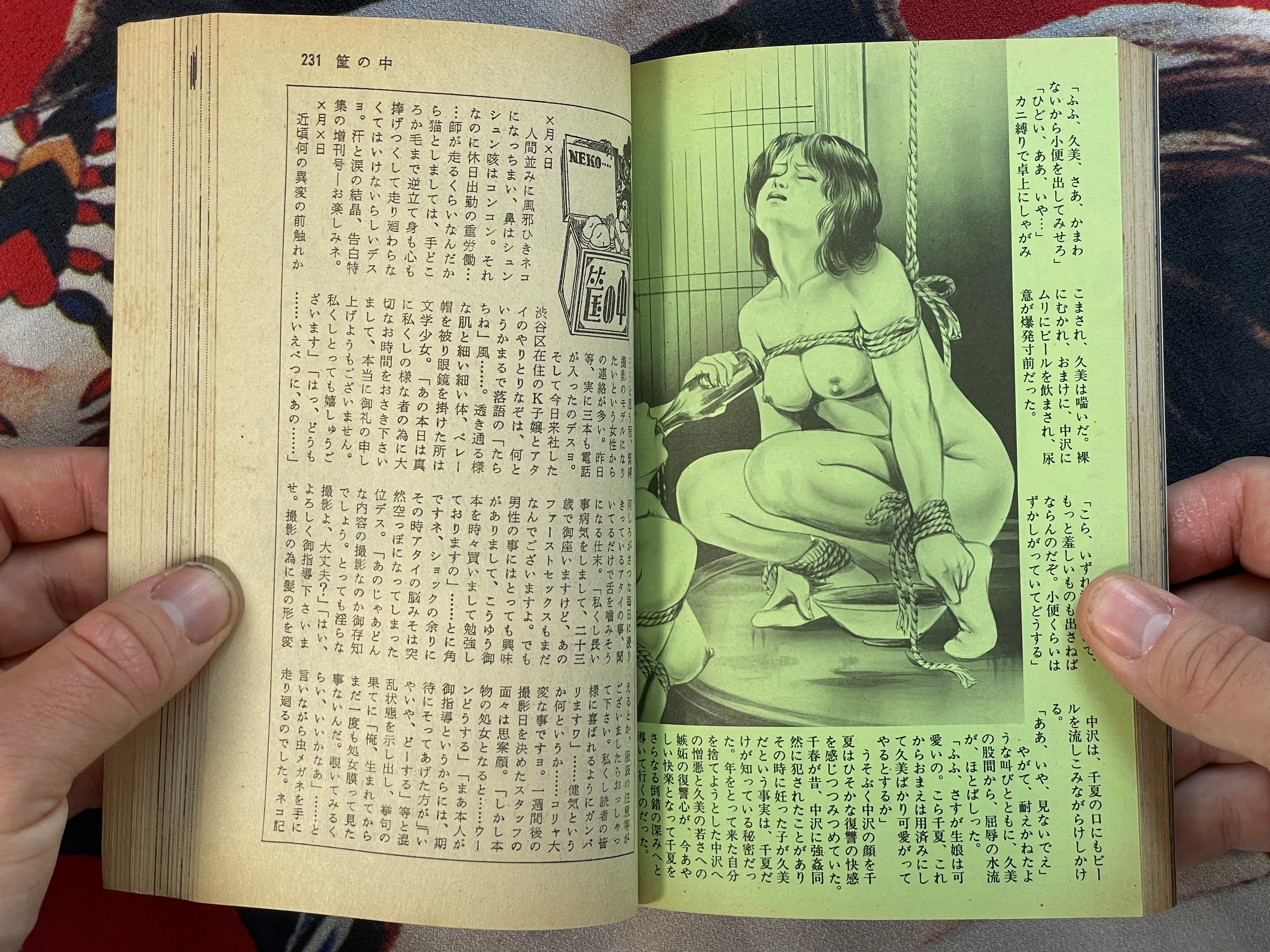 SM Select Magazine feat. Saeki Toshio (2/1982)