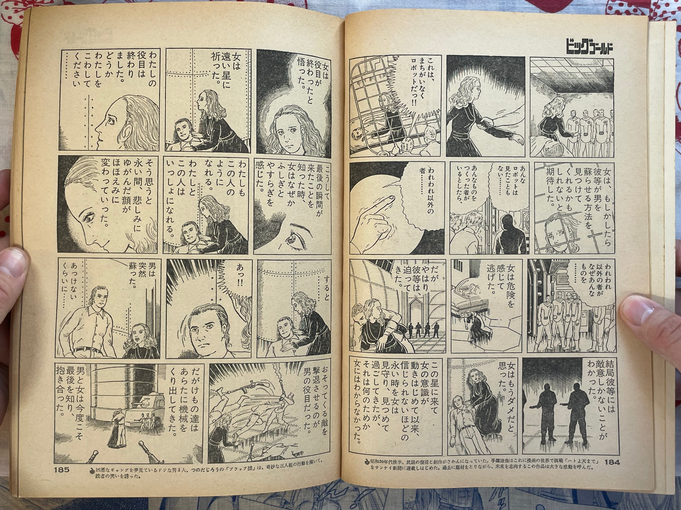 Big Gold No. 2 (Spring 1979)