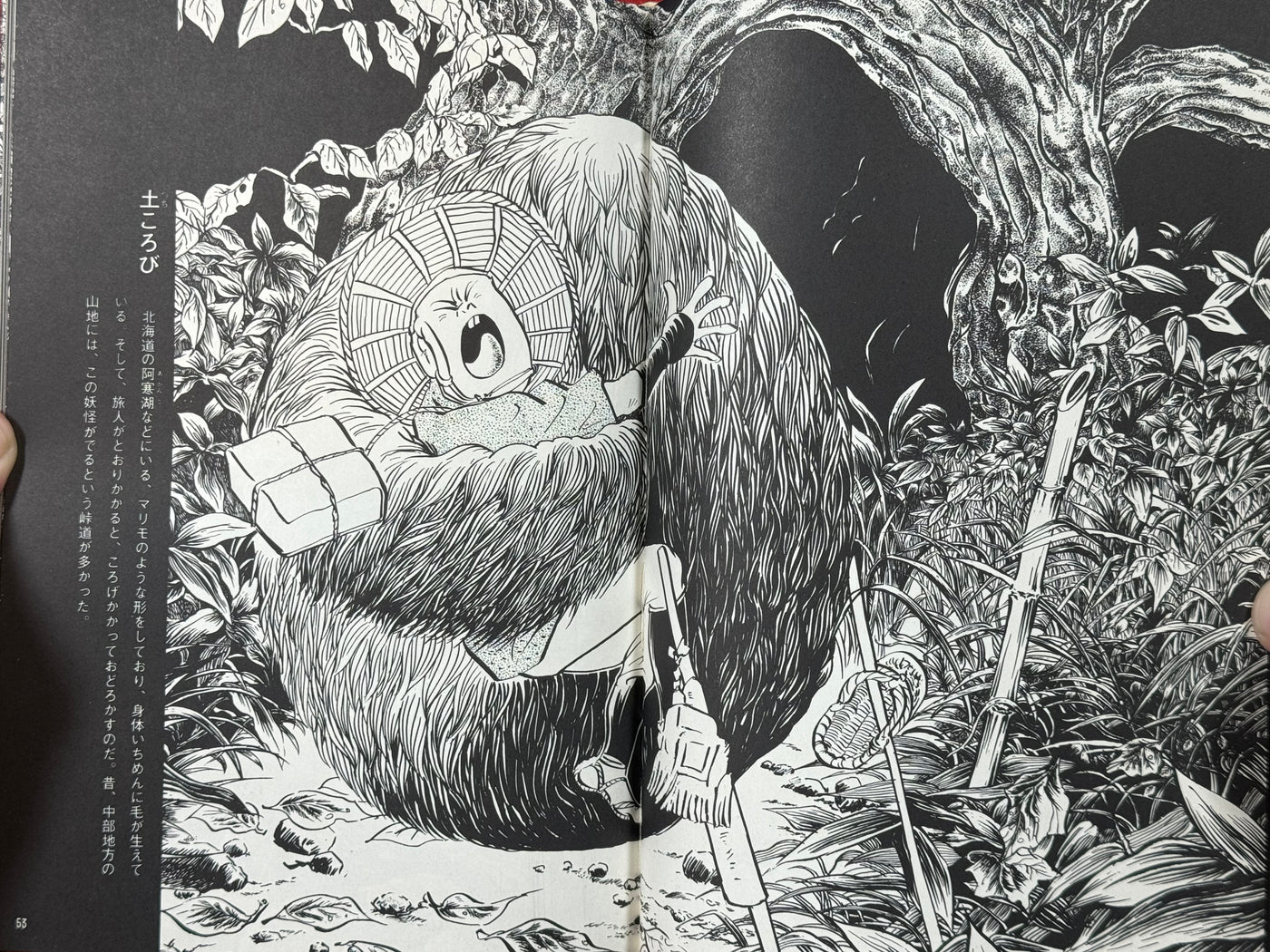Mizuki Shigeru Yokai Art Collection w/ Slipcover (1970)
